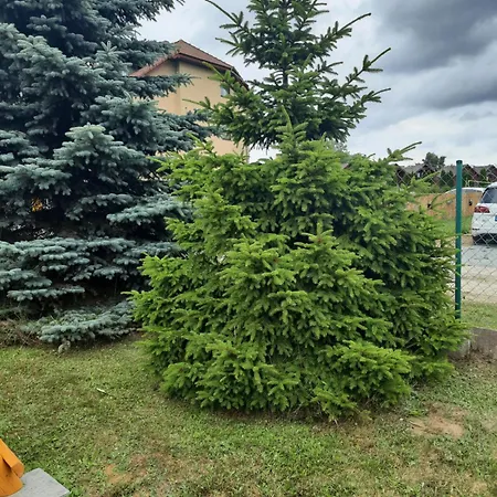 Lazur Alojamento de Turismo Selvagem Jastrzębia Góra