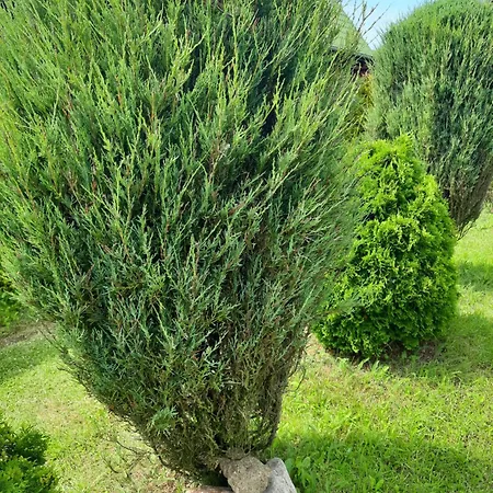 אכסניה Lazur Jastrzębia Góra