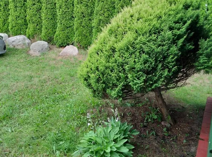 Lazur بيت خشبي Jastrzębia Góra