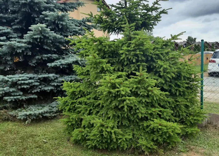 Lazur Chata Jastrzębia Góra